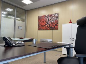 Despacho privado con un puesto de trabajo, escritorio de madera, mesa de reuniones, armario blanco y cuad