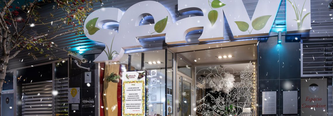 Navidad en Vitoria-Gasteiz: Cómo sobrevivir al ritmo frenético gracias a nuestras soluciones flexibles